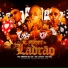 Mc Lucks, MC Menor da ZS, MC Kal