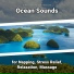 Sea Waves Sounds, Ocean Sounds, Nature Sounds