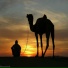 Anasheed