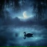 Dreamzy, Doctor Sleep