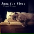 Relaxing BGM Project