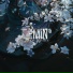 DEMIN