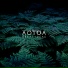 AOTOA