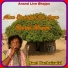 Sant Kanhaiya Lal