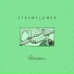 Strawflower