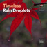 The Sound Of The Rain