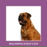 Dog Chill Out Music