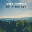 Josef Homola