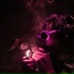 Diego Money