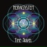 nervasystem 13