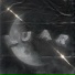 guiwrld7