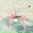 Pink Snoe
