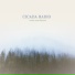 Cicada Radio
