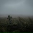COLDWICK