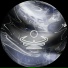 Corium