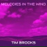 Tim Brooks