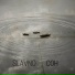 SLAVNO