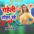 Vipin Raja