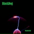 BlackDog
