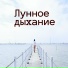 Прозрачная волна, Ласковое сияние, Ясная ночь