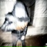 trapkidd