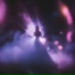 Limb8