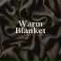Instrumental Sleeping Music