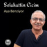 Selahattin Cicim
