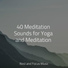 Zen Meditate, Sleepy Night Music, Meditação Clube