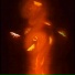 Cassiopeia