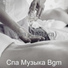 Спа Музыка Bgm