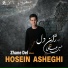Hosein Asheghi