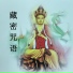 黑鸭子