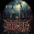 31Core