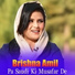 Brishna Amil