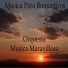 Orquesta Música Maravillosa