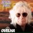 Ovelha