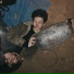 alive trash