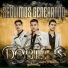 Grupo Doble S