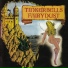 Tinkerbells Fairydust