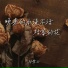 林紫云