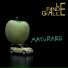 Le Pande Gialle