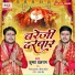 Krishna Balram