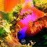 Samer Soltan