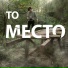 Марселлас