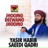 Yasir Habib Saeedi Qadri