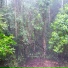 Rain & Sleep