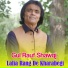 Gul Rauf Shawqi