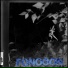 Fonogon