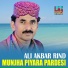 Ali Akbar Rind